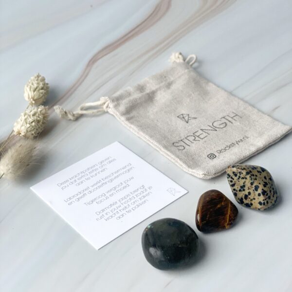 Power Crystals Set Strength - Met Tijgeroog, Dalmatiër Jaspis & Bergkristal